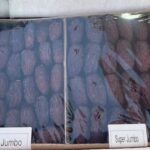 Jumbo and Super Jumbo Premium Egyptian Medjool Dates cartons