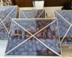 Premium Egyptian Medjool Dates 5 Kg Carton